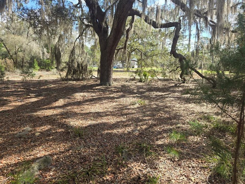 For Sale: $9,000 (0.23 acres)