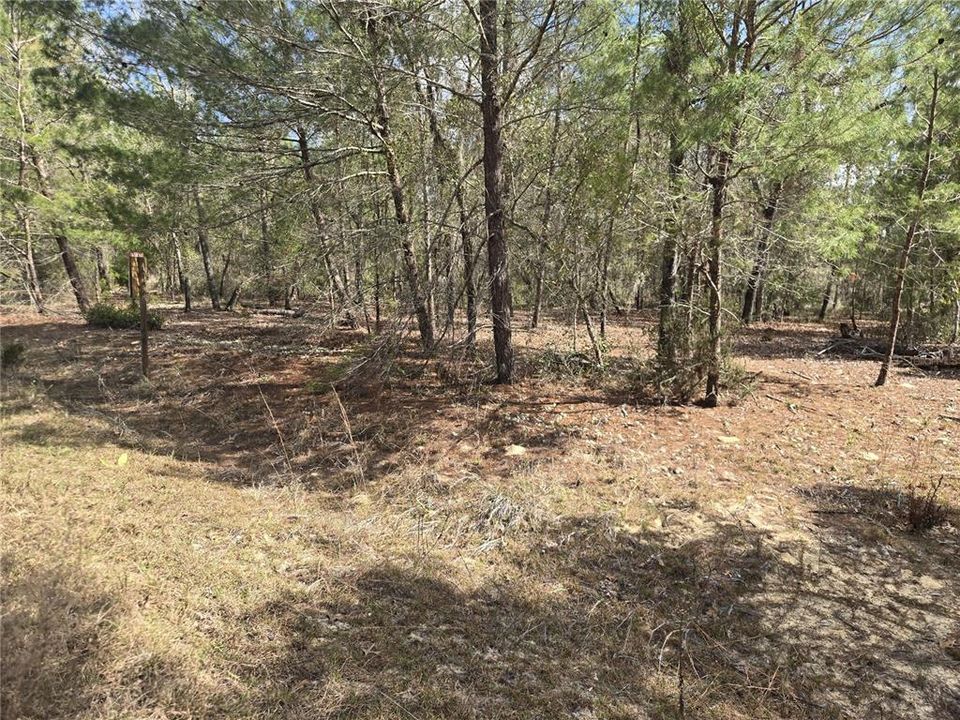 For Sale: $9,000 (0.23 acres)