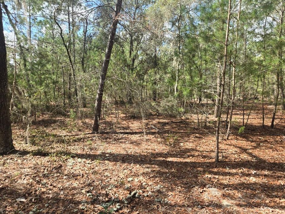 For Sale: $9,000 (0.23 acres)