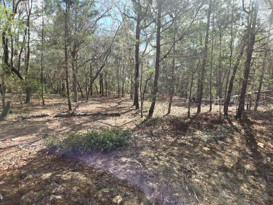 For Sale: $9,000 (0.23 acres)