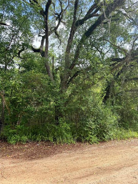 待售: $8,500 (0.12 acres)