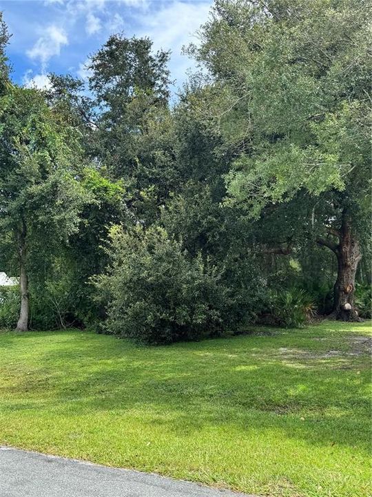 待售: $60,000 (0.39 acres)