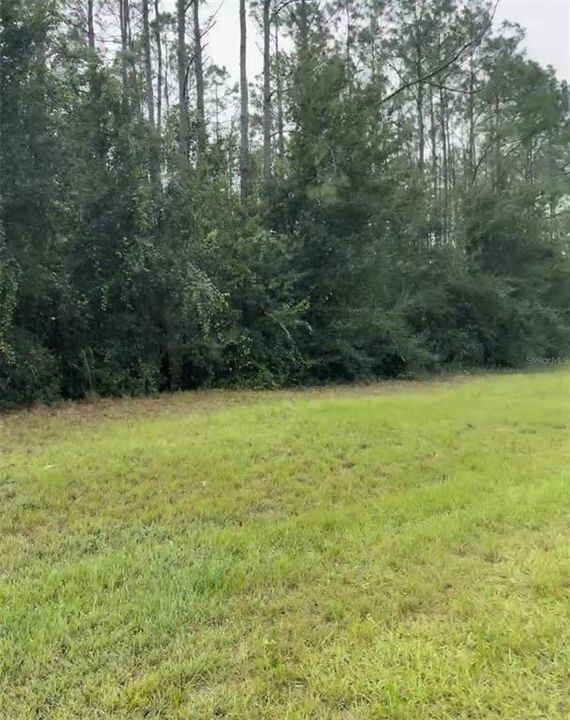 For Sale: $125,000 (0.85 acres)