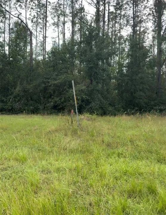 For Sale: $125,000 (0.85 acres)