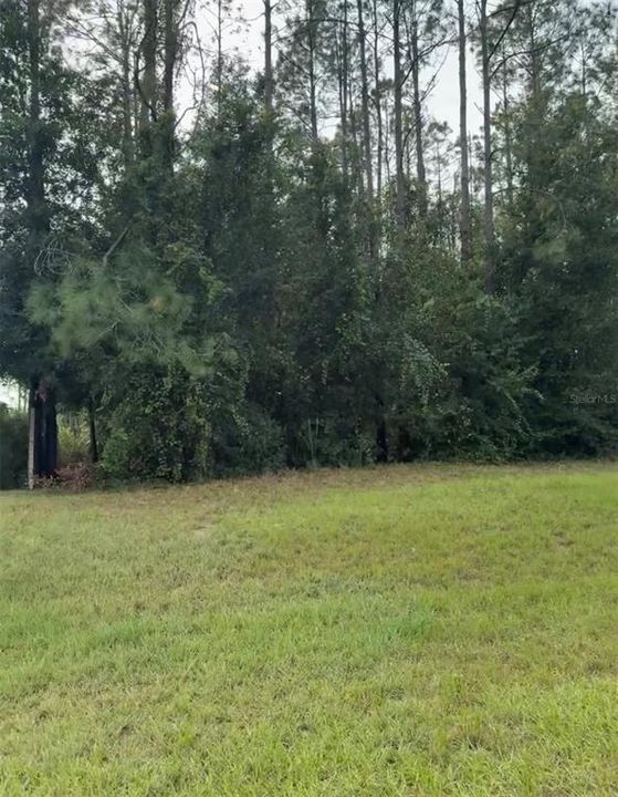 For Sale: $125,000 (0.85 acres)