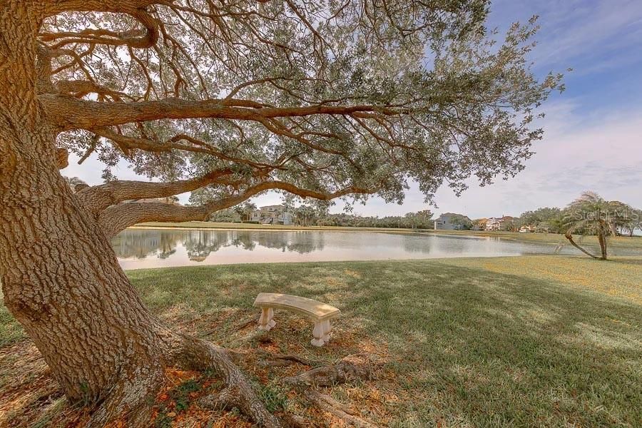 En Venta: $1,200,000 (3 camas, 4 baños, 3344 Pies cuadrados)