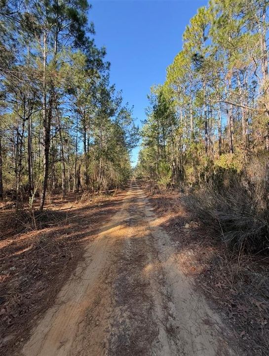 For Sale: $15,000 (0.31 acres)