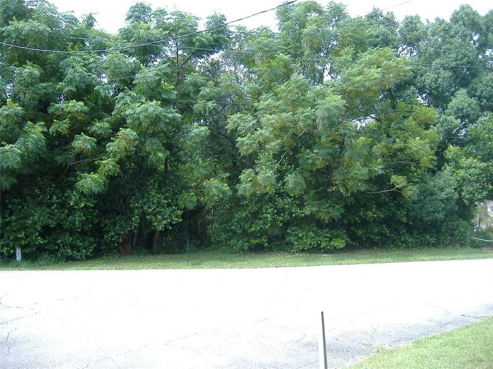 待售: $65,000 (0.49 acres)