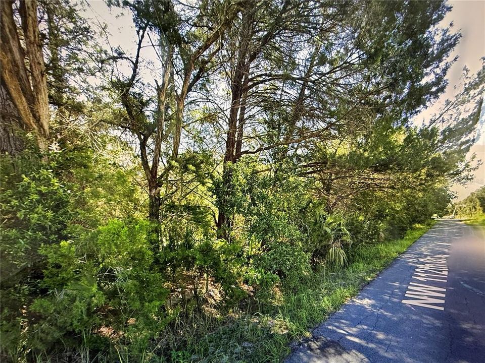 待售: $27,500 (0.23 acres)