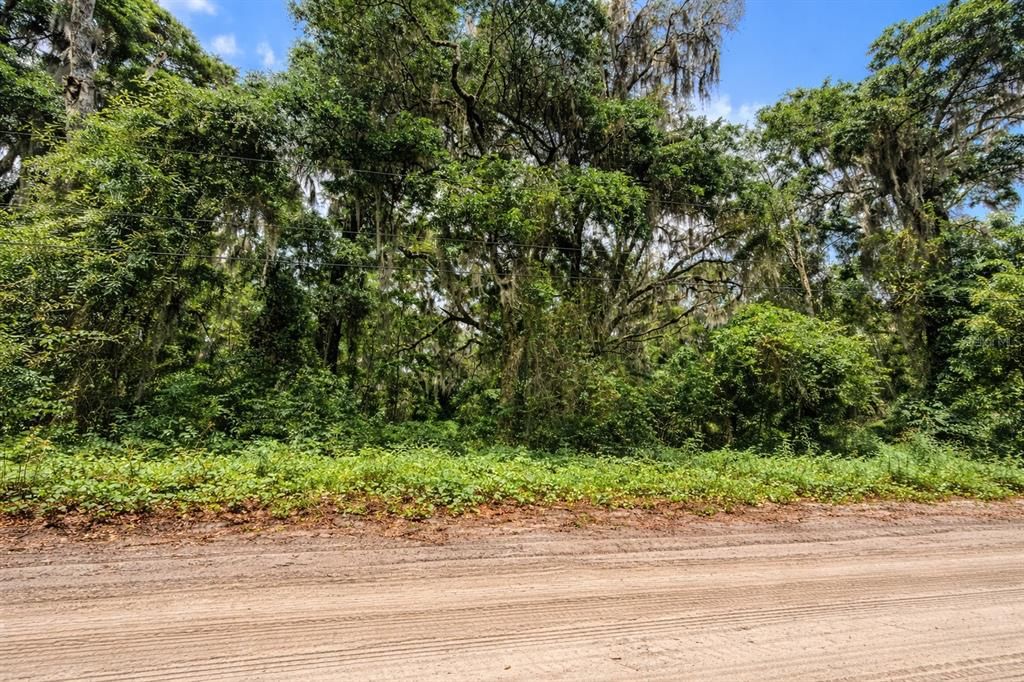 For Sale: $99,900 (3.03 acres)