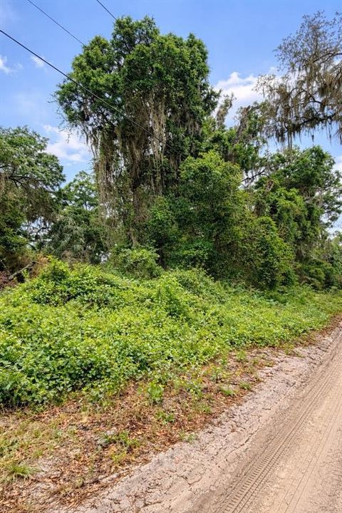 For Sale: $99,900 (3.03 acres)