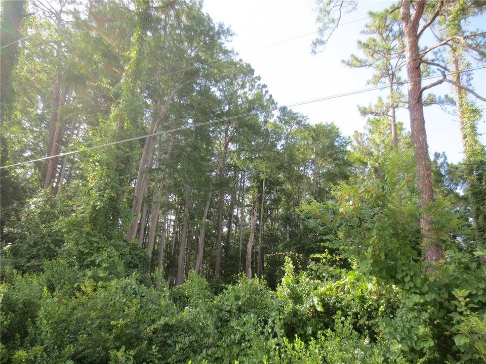 For Sale: $59,000 (7.27 acres)
