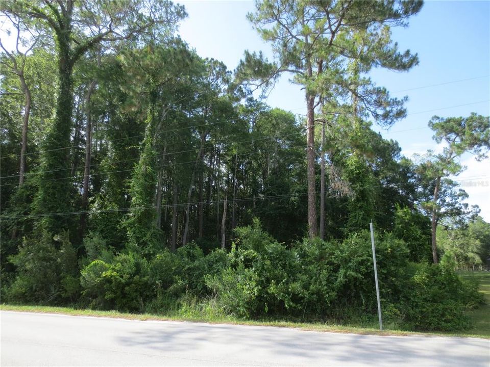 For Sale: $59,000 (7.27 acres)