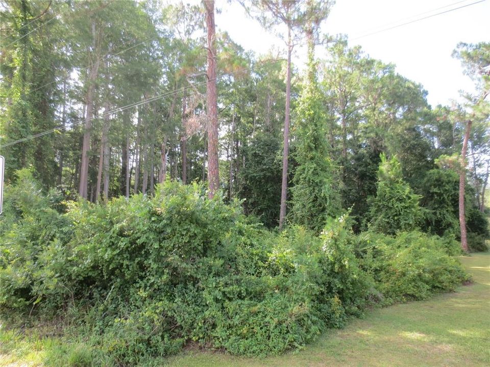 For Sale: $59,000 (7.27 acres)