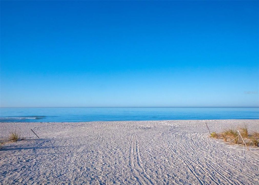 For Sale: $1,795,000 (0.36 acres)
