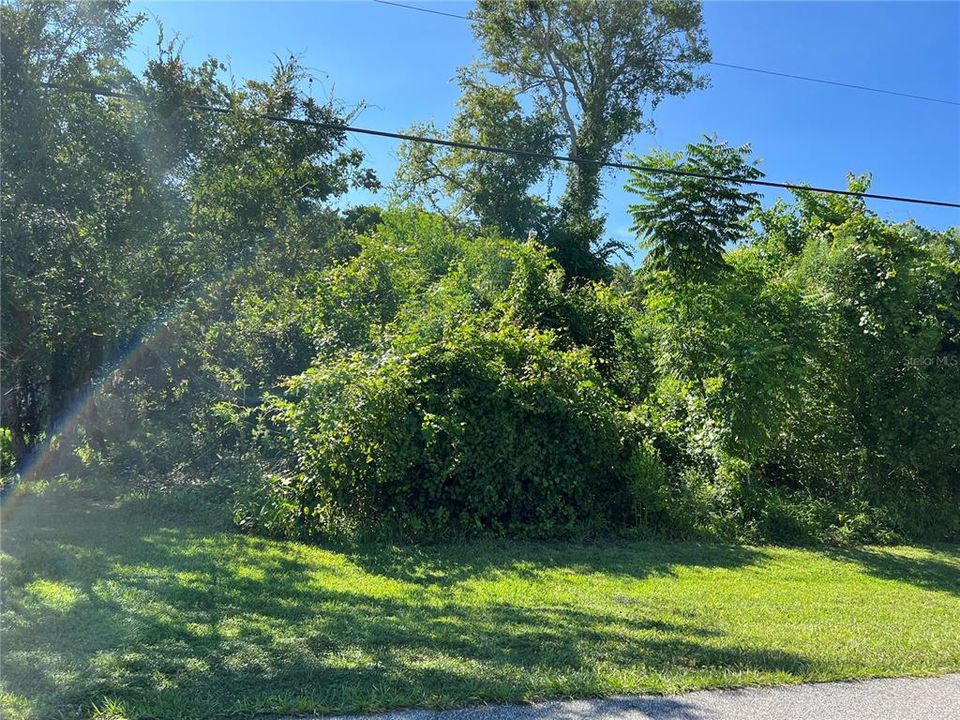 待售: $60,000 (0.23 acres)