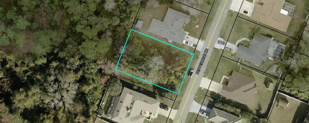 待售: $60,000 (0.23 acres)