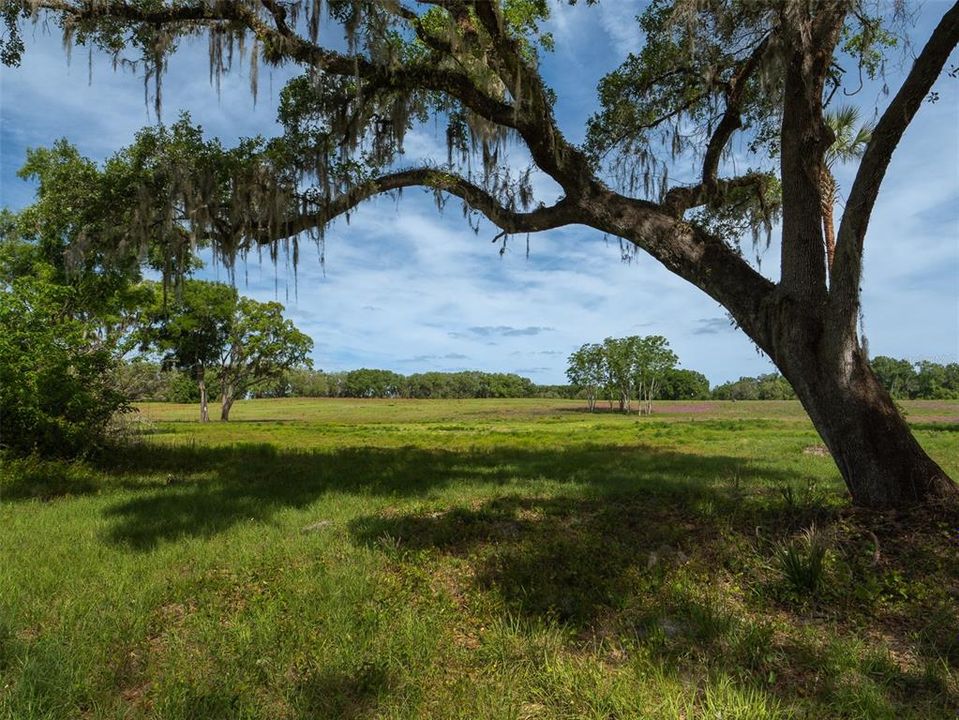 For Sale: $630,700 (10.60 acres)