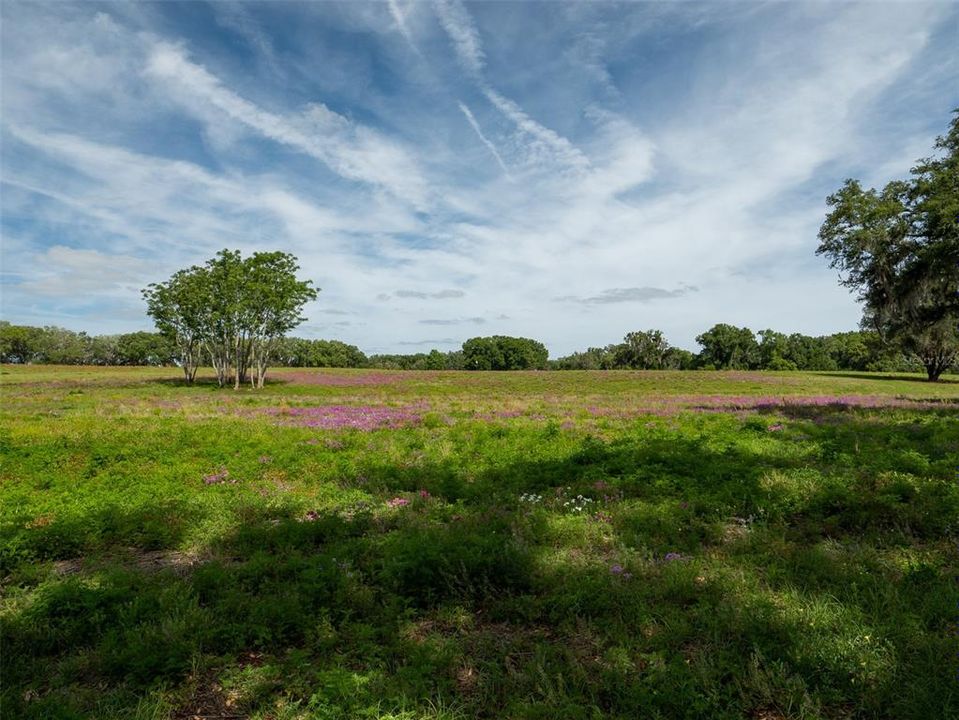 For Sale: $630,700 (10.60 acres)