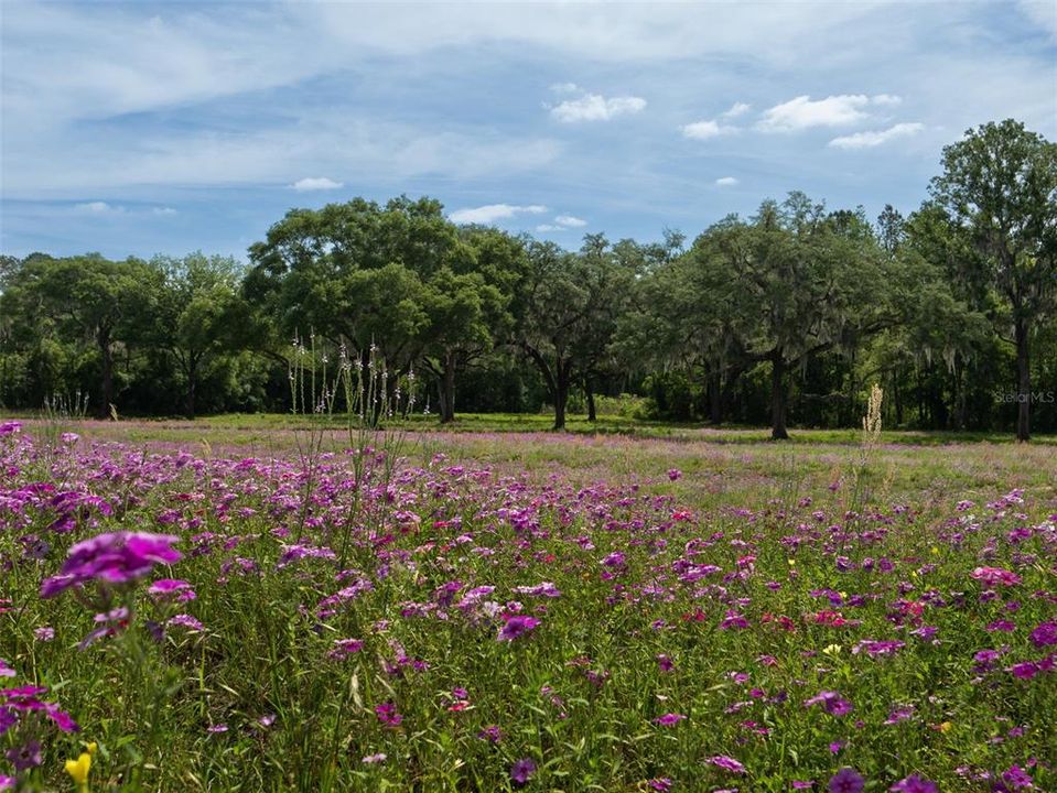 For Sale: $630,700 (10.60 acres)