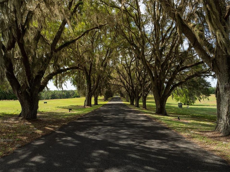 For Sale: $630,700 (10.60 acres)