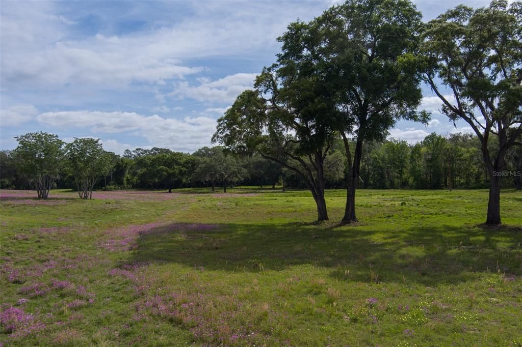 For Sale: $630,700 (10.60 acres)