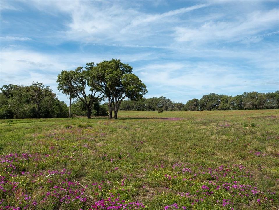 For Sale: $630,700 (10.60 acres)