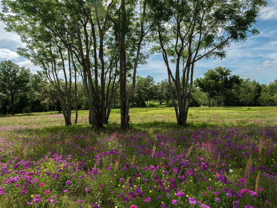 For Sale: $630,700 (10.60 acres)