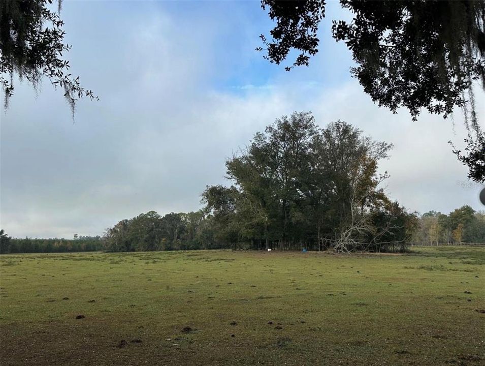 For Sale: $448,500 (15.00 acres)