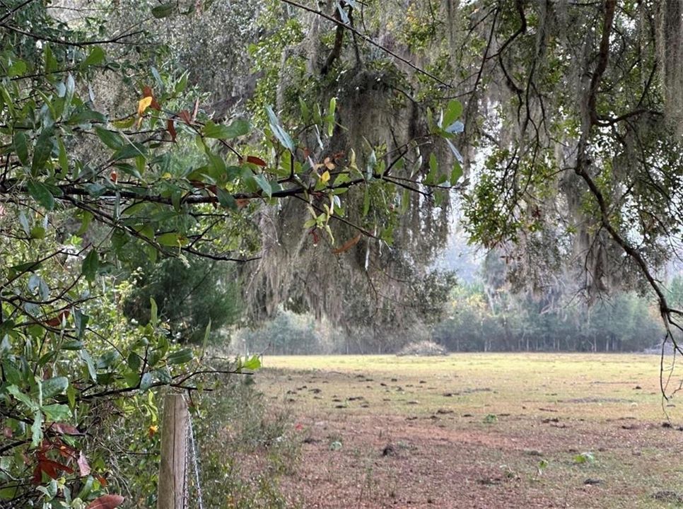 For Sale: $448,500 (15.00 acres)