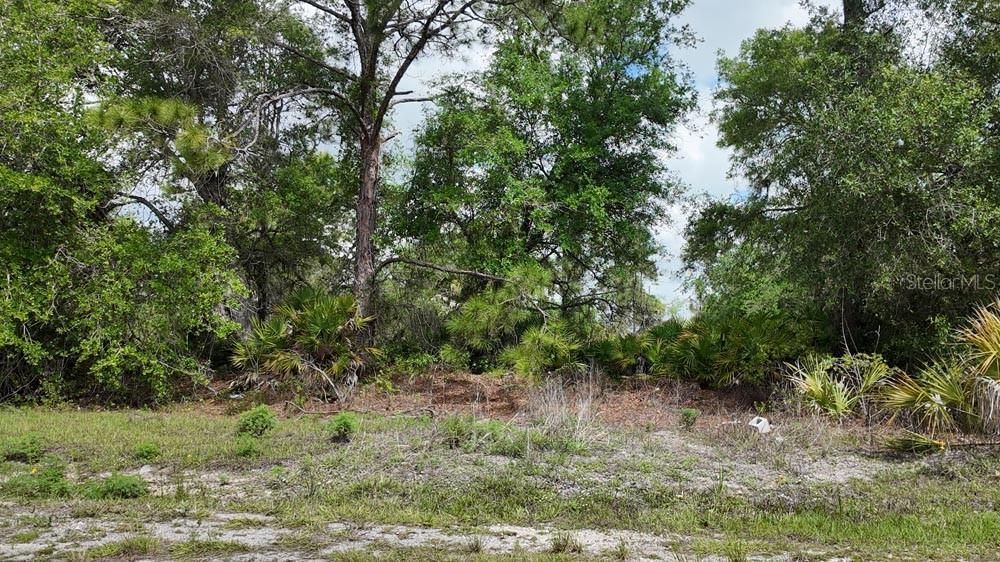 For Sale: $20,000 (0.25 acres)