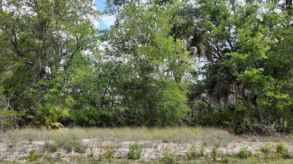 For Sale: $20,000 (0.25 acres)