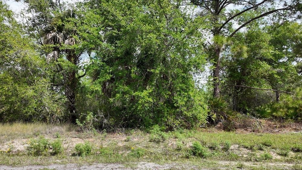 For Sale: $20,000 (0.25 acres)