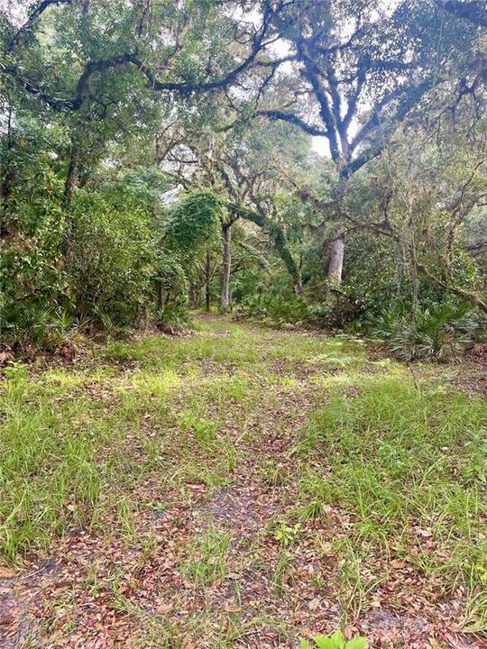 На продажу: $1,348,700 (4 спален, 2 ванн, 2484 Квадратных фут)