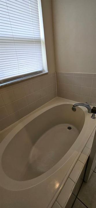Active With Contract: $2,000 (4 beds, 2 baths, 1764 Square Feet)