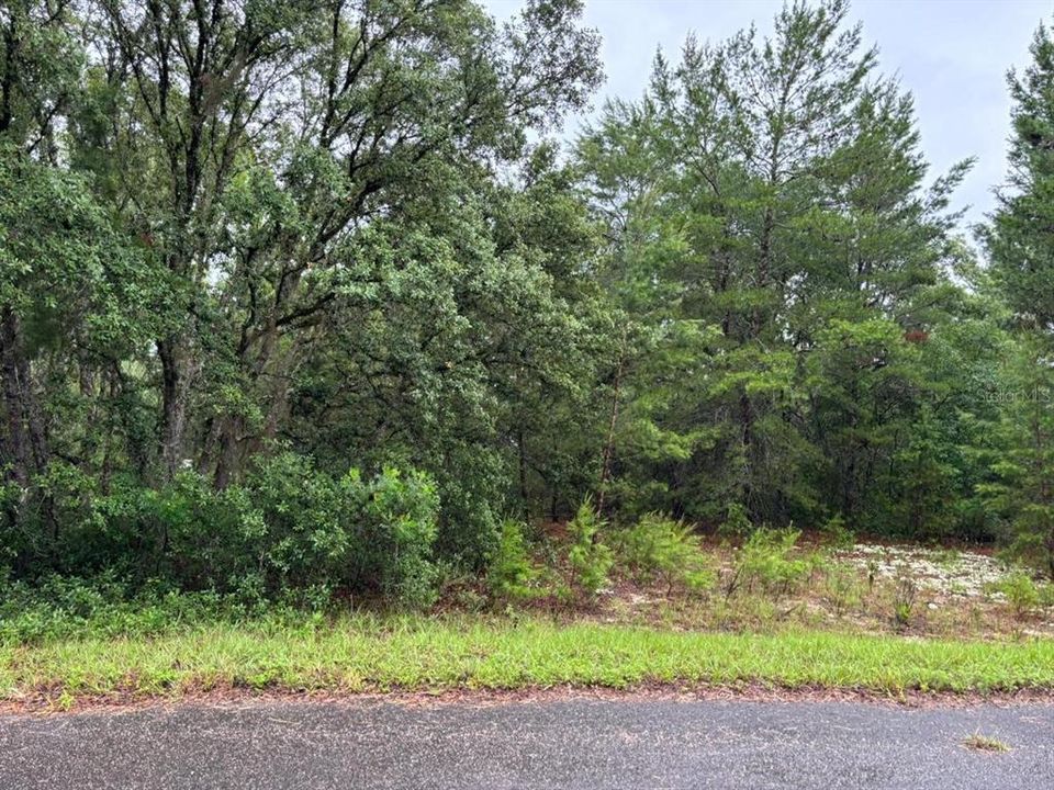 На продажу: $45,000 (0.27 acres)
