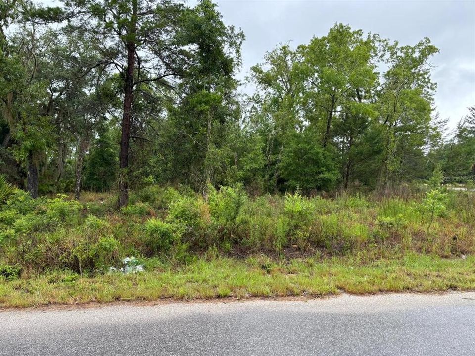 На продажу: $28,000 (0.31 acres)