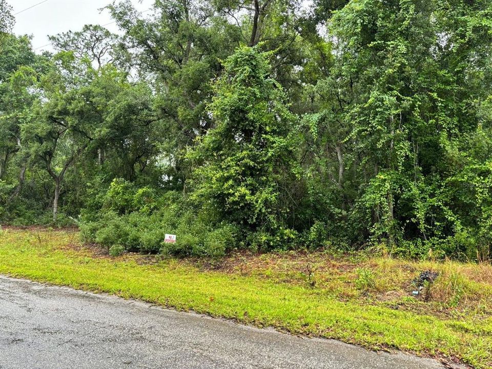На продажу: $28,000 (0.23 acres)