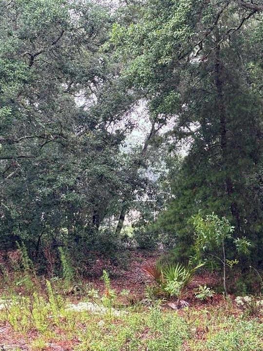 For Sale: $25,000 (0.23 acres)