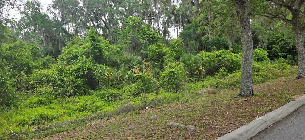 На продажу: $445,000 (1.00 acres)
