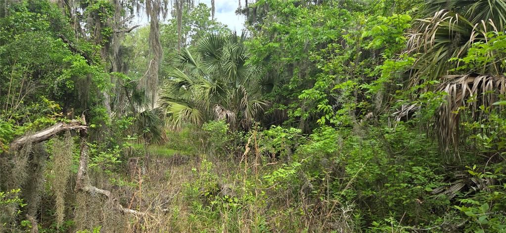 На продажу: $445,000 (1.00 acres)