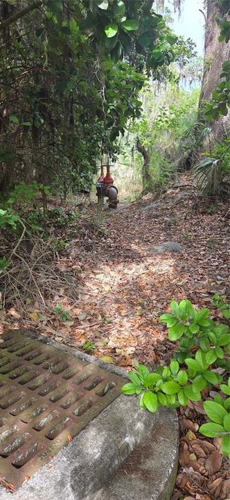 На продажу: $445,000 (1.00 acres)