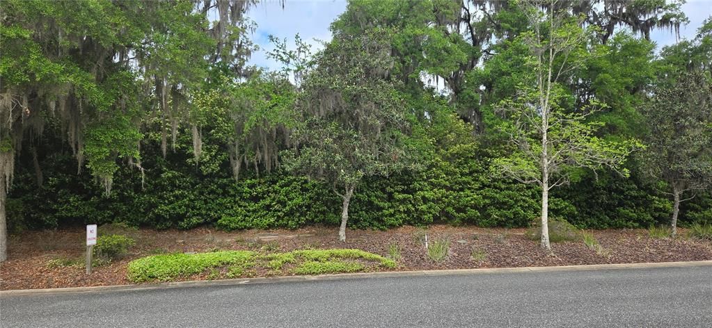 На продажу: $445,000 (1.00 acres)