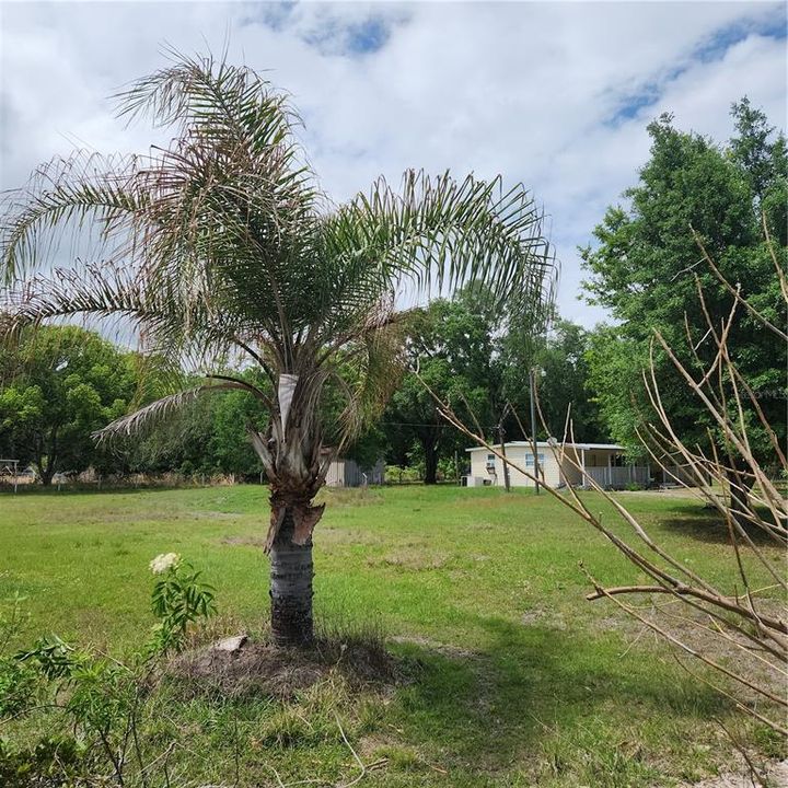 For Sale: $270,000 (4 beds, 2 baths, 1284 Square Feet)