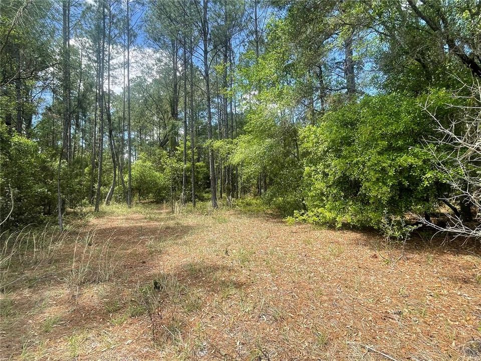 На продажу: $17,900 (0.24 acres)