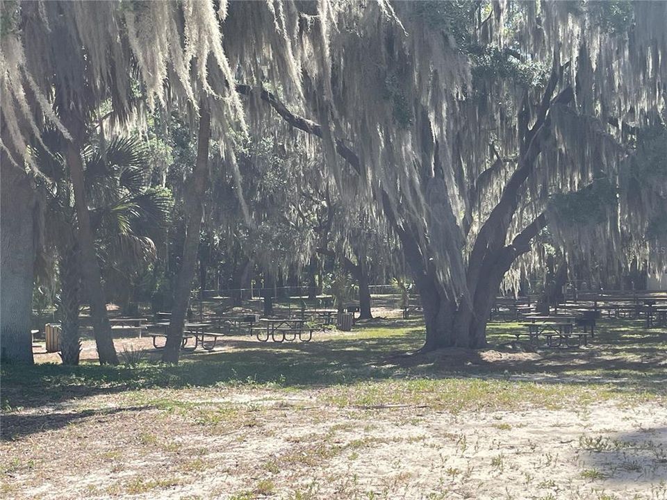 待售: $15,900 (0.24 acres)