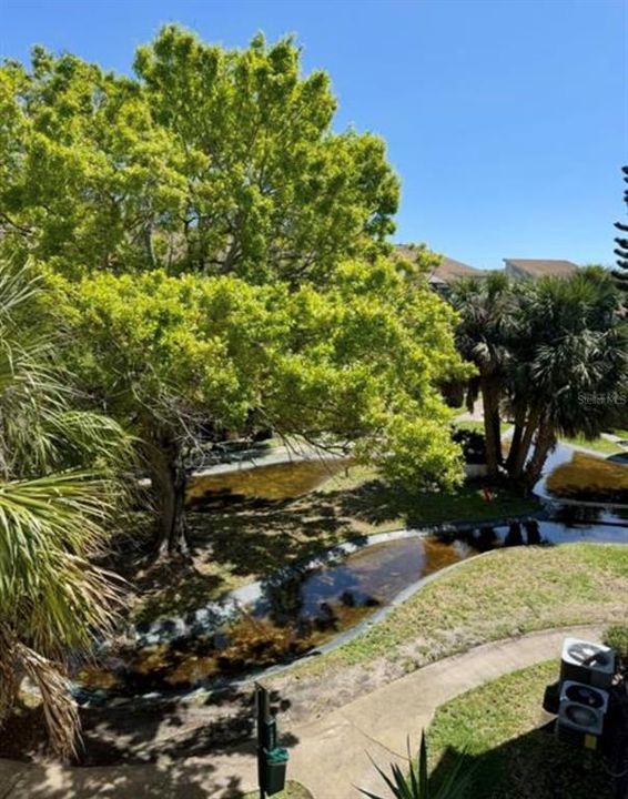 For Rent: $1,500 (1 beds, 1 baths, 678 Square Feet)