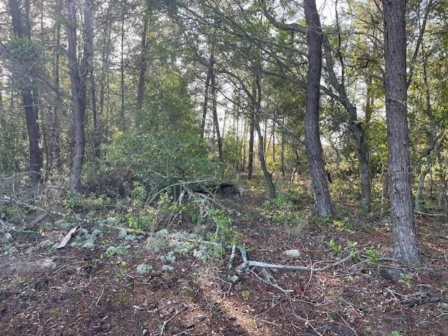 待售: $31,000 (0.34 acres)