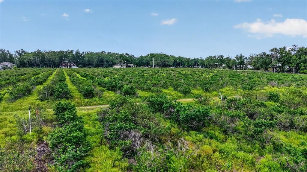 Active With Contract: $459,000 (9.61 acres)