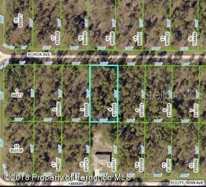 待售: $43,000 (0.46 acres)